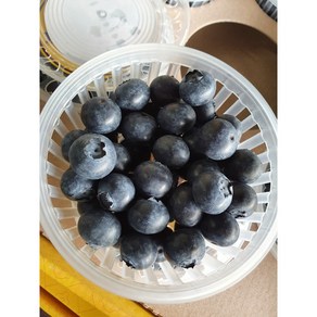유레카블루베리 무농약곡성 제주 영동 국산 블루베리 1kg, 1박스, 1kg[100g*10팩], 유명산지 블루베리[18~16mm]
