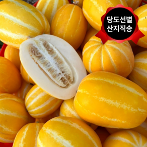 [오늘담다] 당도보장 성주 설탕참외 산지직송 참외 중소과, 1박스, 가정용2kg