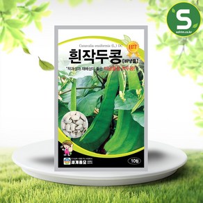 흰작두콩 씨앗 10립 비넝쿨 작두콩씨 일년생 종자, 1개