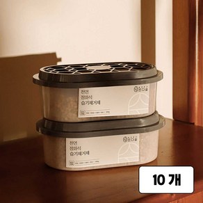 온다숲 반영구 천연 제습제 정화석, 300g, 10개