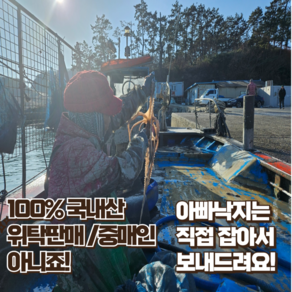 낙지 싱싱한 살아있는 목포낙지 산낙지 산소포장 신선도UP 사이즈별로 골라서 먹자, 중대낙지170g내외, 6개