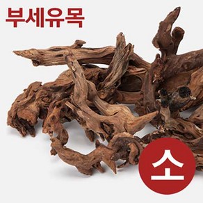 부세유목 [S] 10~15cm 미만 랜덤발송, 1개