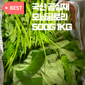 공심채 모닝글로리 국산재배 500g 1kg 베트남채소 moning gloy, 1개