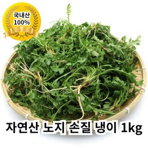 충남도민 국내산 최상급 선별 노지 세척 향긋한 봄나물 손질 냉이 자연산 1kg, 1세트