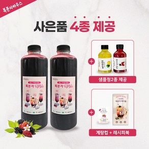 프리미엄 고창산 토종 복분자 생발효엑기스 900mlX2병