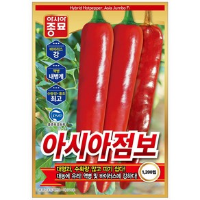 [NEW/정품] 고추씨앗 아시아점보 30립 고추키우기 고추씨앗종자, 1개