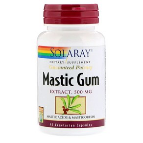 Solaay 매스틱 검 Mastic Gum Extact 500mg 45캡슐, 상세참조, 1개, 45정