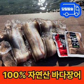 [산지 직송] 갓잡은수산 통영 자연산 손질 바다장어 특대 (소스 2종 증정!), 1개, 1kg(2~3미)