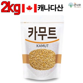 The큰나무 캐나다산 오리지널 카무트, 1개, 2kg