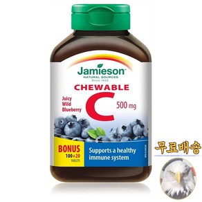 미국산 자미에슨 비타민C 500mg 블루베리맛 120정 아스코르브산 Jamieson Vitamin C 선물증정, 1개