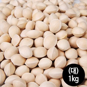 전대표 공주 피은행(대 중 소) 국내산 ginkgo nut, 1개, 피은행1호(대)1kg