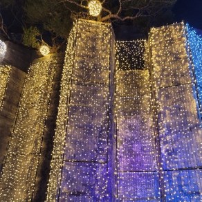 500구 투명선 LED 웜색 장식 전구(50M) (전원잭포함), 상세설명참조, 1개