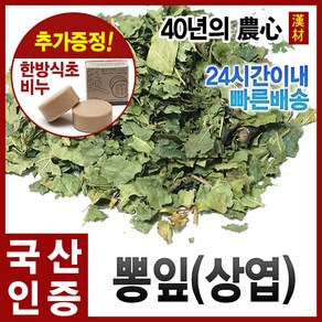 자애인 국산 뽕잎 600g 상엽 뽕나무잎 뽕잎차 충북제천, 1개