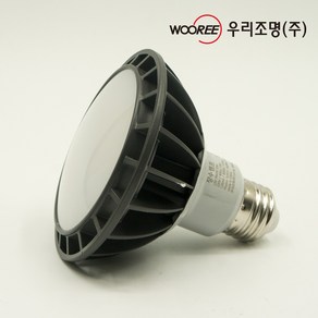 장수램프 LED PAR30 15W 확산형