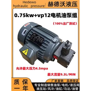 유압 모터 감속 전동 펌프 1.5kw 압축기 스테이션 오일 모터 내부 실린더 저속기, 06.  0.75kw+VP12 플랫 키 모터, 1개