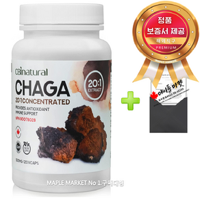 캐나다 차가버섯 20배 농축 500mg 120캡슐+정품보증서 CBI 네추럴 캐나다 직배송, 120캡슐, 1개, 120회분