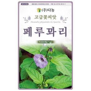 다농 페루꽈리/살충초 씨앗 1000립(1g), 1개