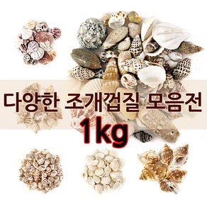 조개껍질모음전 1kg 대용량 18종류 종류선택