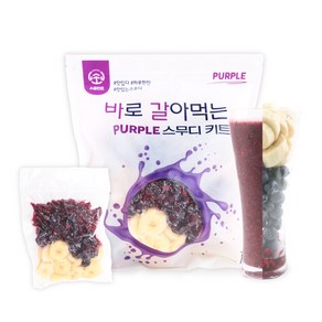 스무디 만들기 키트 블루베리 바나나 석류 170g 6개입 1020g, 6개