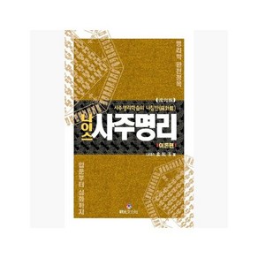 나이스 사주명리 : 이론편 (판) : 사주명리학습의 나침반 - 맹기옥 [00F]