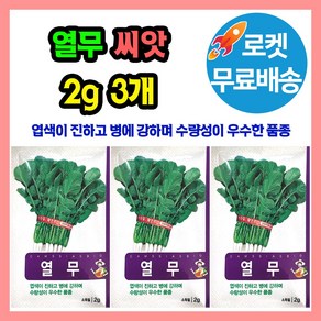 열무 씨앗 (합 6g) 종자 씨, 3개