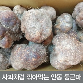 둥근마 알뜰10킬로 (크기작고 잘생김 크고 울퉁불퉁), 1개, 둥근마 알뜰 10kg