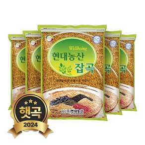 현대농산 국산 황금 발아찰보리 4kg (800gx5봉)