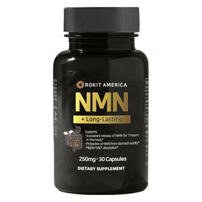 로킷헬스케어 NMN + 롱-래스팅 250mg 캡슐, 1개, 30정