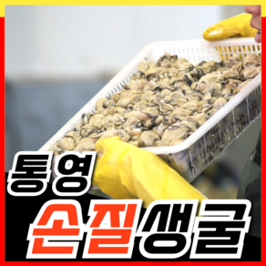 국산 통영 생굴 500g 1kg 횟감 용 굴 깐굴 대 삼배체 석화 하프셀, 1개, 500g 내외