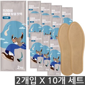 일상생활 신발 깔창 발열 핫팩 남성용 2개입 250mm 123g