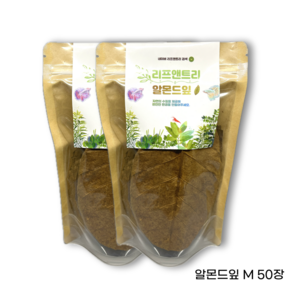 베타 알몬드잎 아몬드잎 대용량 50장, 85g, 1개