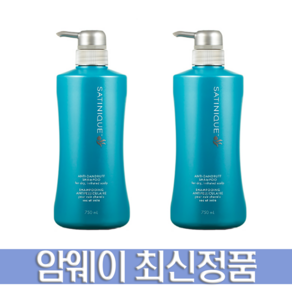 암웨이 샴푸 비듬두피관리 새티니크 안티-댄드러프 샴푸 750ml 1+1 (총2개), 2개