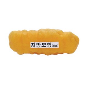 지방모형 1kg