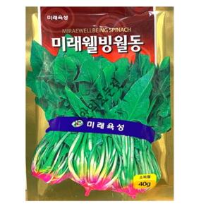 겨울나기 시금치 씨앗 40g [24년포장] 재래종 시금치 종자 농우바이오, 1개