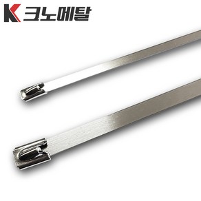 스테인리스타이 100개 케이블 스텐 레스 스틸 서스 철, 4.6 × 152mm (100개), 실버