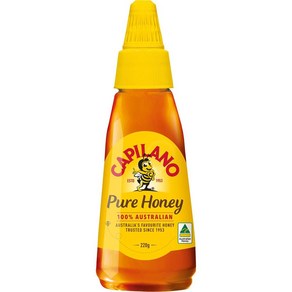 카필라노 트위스트 스퀴즈 허니 Capilano Twist Squeeze Honey, 1개, 220g