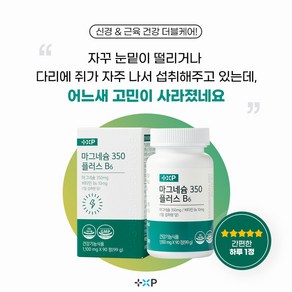 약국 비타민하우스 마그네슘 마그비 스피드 마그콤 감마 액티브 맥스 B6, 1개, 90정