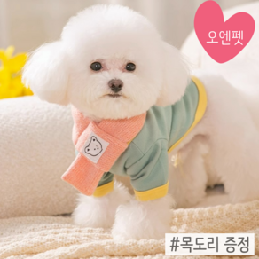 오엔펫 강아지 고양이 외출복 배색 티셔츠 목도리 세트 (+목도리증정)