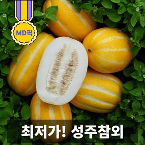 일등농수산 산지직송 싱싱한 가정용 성주참외, 1개, 랜덤과 1kg (3-7과 내외)