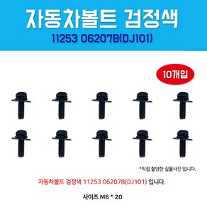 카박사 DJ101 자동차볼트 1125306207B 10개입 보도10mm 볼트너트 육각머리, 10개