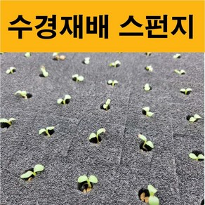 수경재배 스펀지 (농장 전문가용) 재배스티로폼 씨앗발아 양액재배