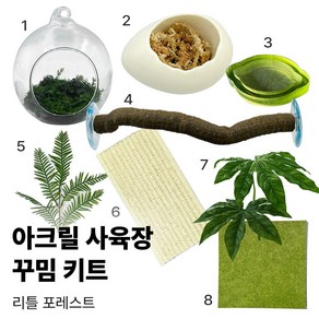 크레스티드게코 도마뱀 사육장 꾸미기 세트 반모리 아크릴 사육장 꾸밈 키트