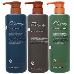 ATS 퍼스티지 샴푸 카미시 리버시 브레시 600ml, ATS 퍼스티지 브레시 샴푸 600ml, 1개