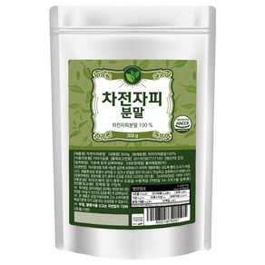 초담식품 차전자피 분말, 300g, 3개