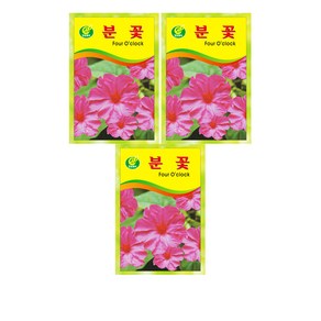 모두다 꽃씨앗 분꽃씨앗(1g), 3개