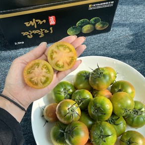 [당일수확] 고당도 명품 짭짤이 토마토 2.5kg 농장직송, 1박스, 로얄과[S] 2.5kg