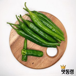 맛통령 국내산 오이고추