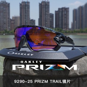 오클리 Oakley 고글/안경 각종 스포츠/승마/자전거, 9290-25 카본 패턴, 1개