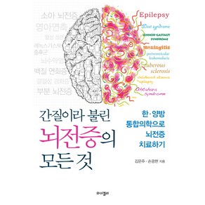 간질이라 불린 뇌전증의 모든 것:한·양방 통합의학으로 뇌전증 치료하기, 와이겔리