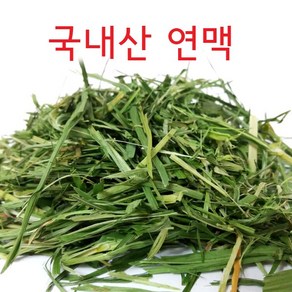 달나라 국내산 연맥(오트헤이) 200g 건초